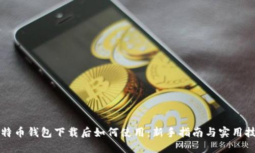 比特币钱包下载后如何使用：新手指南与实用技巧