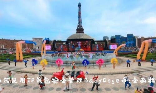 如何使用TP钱包安全管理BabyDoge币：全面指南