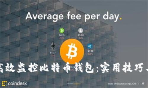 如何高效监控比特币钱包：实用技巧与工具