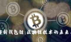 全面解析钱包链：区块链技术的未来与应用